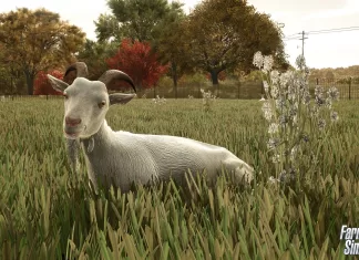 Farming Simulator 25 – All Abouts Goats (Preview)
