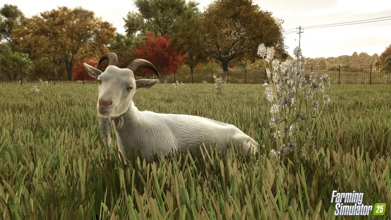 Farming Simulator 25 – All Abouts Goats (Preview)