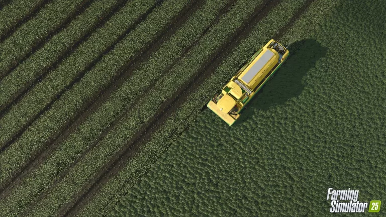 Farming Simulator 25 New Crop: How to growth and harvest Peas?